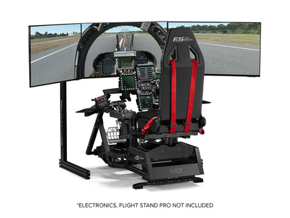 Flight Simulator Pro